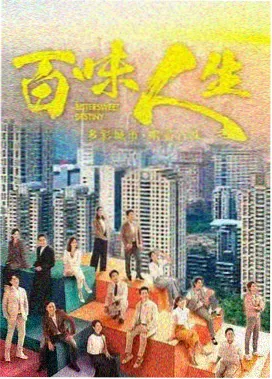 白菜影视热播剧集《雾港迷局》封面